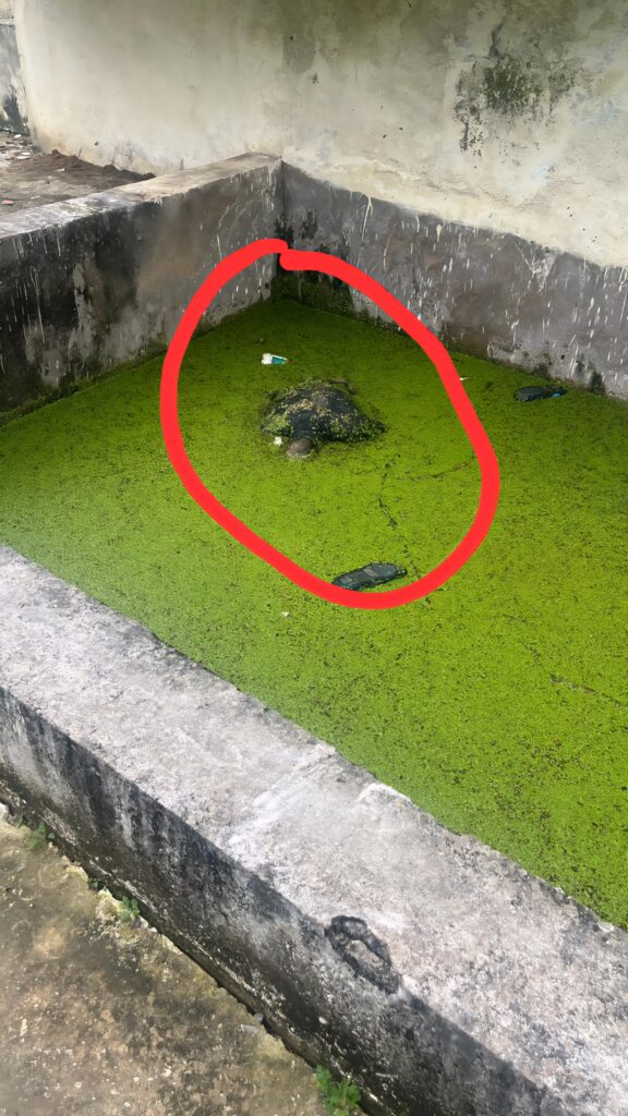 उस्लापुर रेलवे कॉलोनी के पास के पानी टैंक से मिला रिटायर S.I के बेटे की लाश, पुलिस जांच में जुटी।